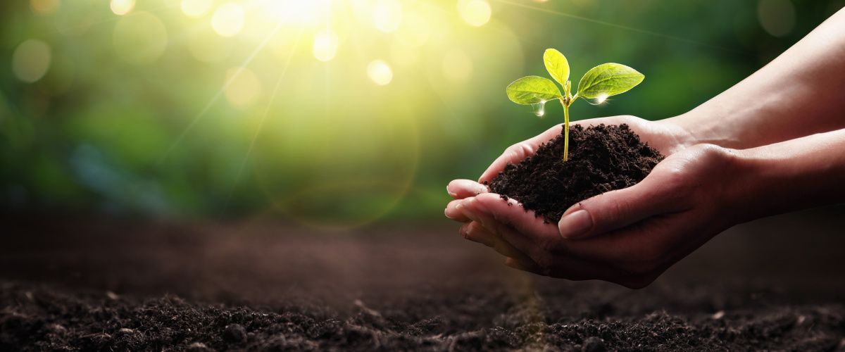 Runcorn sustainability