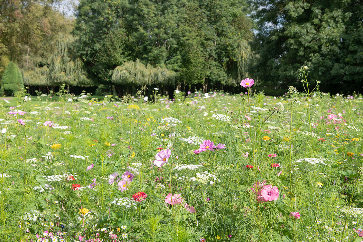 Sustainable events in Runcorn.